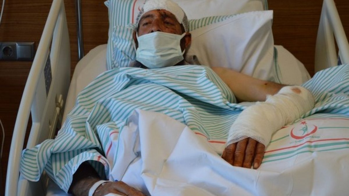 Tunceli'de ayı saldırısına uğrayan köylü, yaralı haliyle 5 kilometre yürüdü