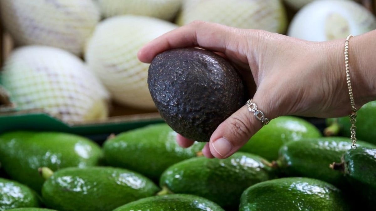 Tropikal meyve ihracatı yüzde 172 arttı