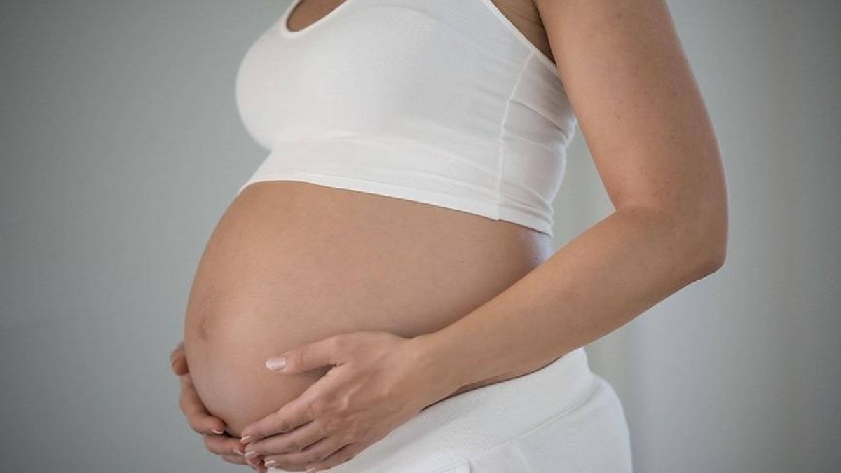 Hamileler kaçıncı ayda korona aşısı olmalı? Sağlık Bakanlığı aşı rehberini güncelledi