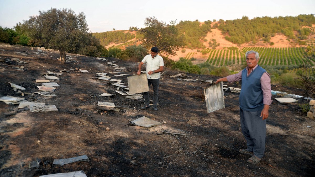 Mersin'de 250 kovanı yanan üreticinin 5 milyon arısı öldü