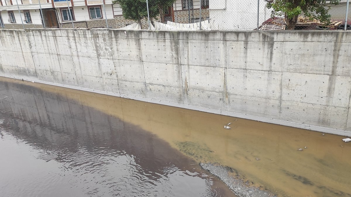 Esenyurt'taki kirlilik için mahalleli yardım bekliyor