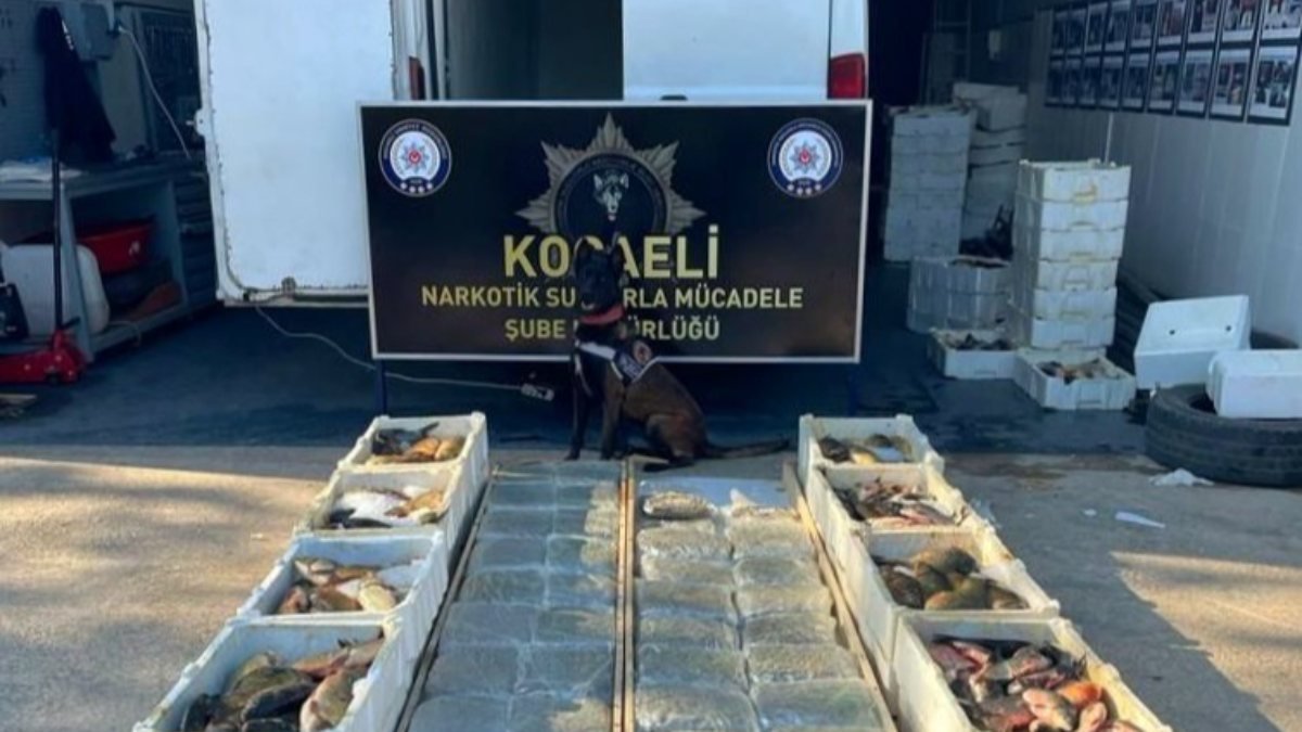 İstanbul'da 285, Kocaeli'nde 53 kg uyuşturucu ele geçirildi