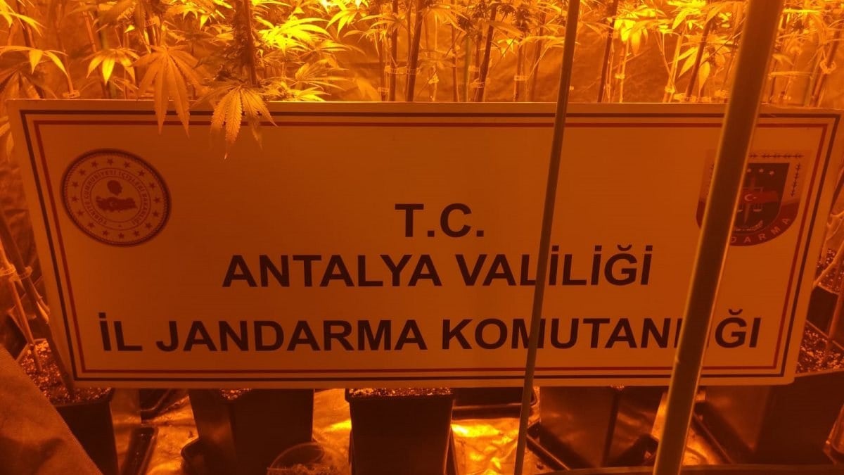 Antalya'da 2 kardeş villa kiralayıp kenevir yetiştirdi