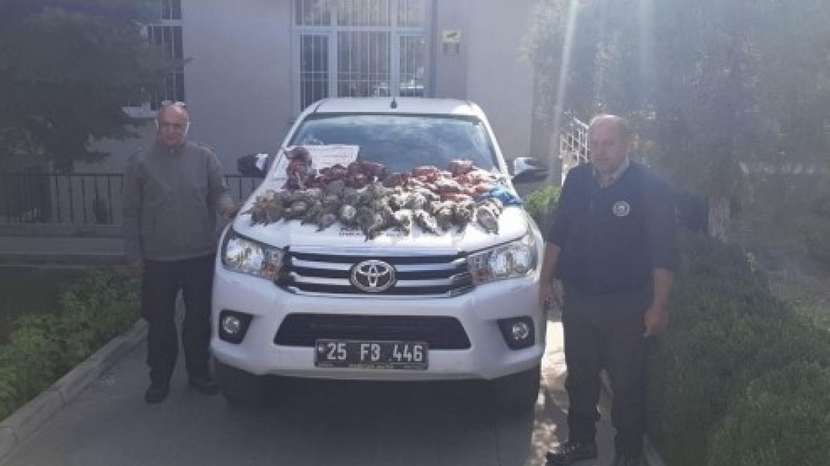 Erzincan'da kaçak avcılar polis ekiplerince yakalandı