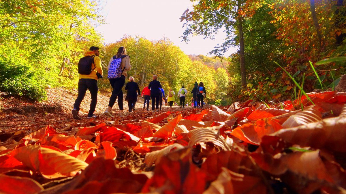 Osmaniye’nin gözde bölgesi Dumanlı Yayla