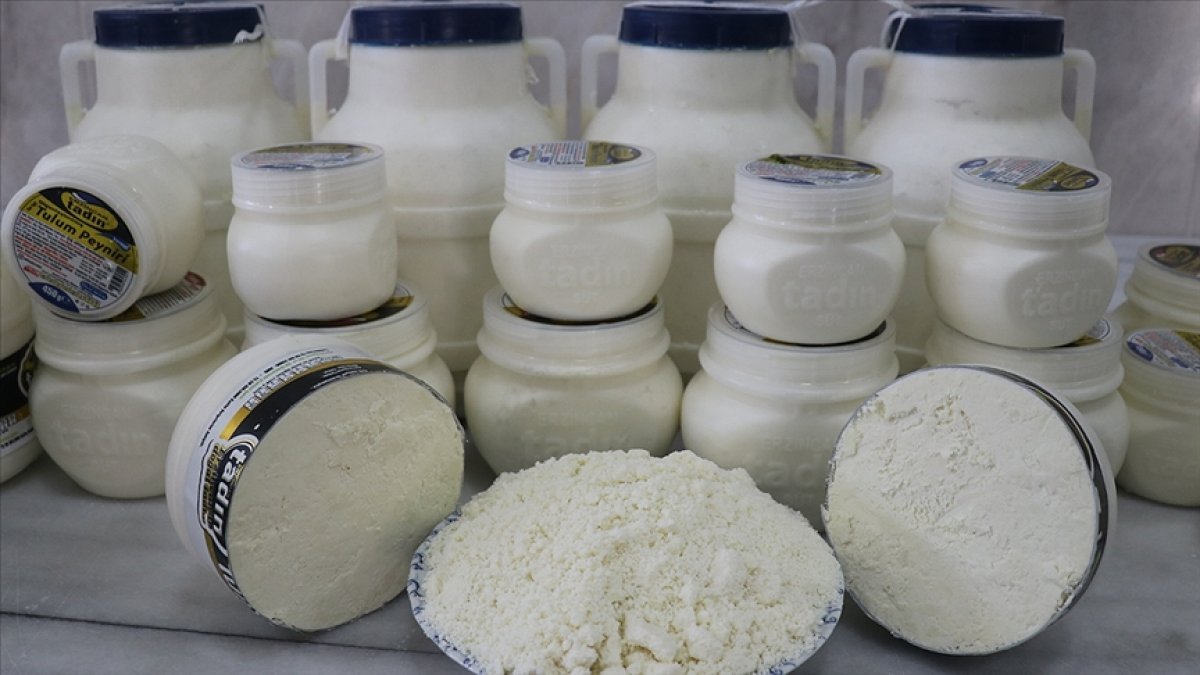 Erzincan tulum peynirinin 3 bin rakımdan kahvaltı sofralarına geliş öyküsü