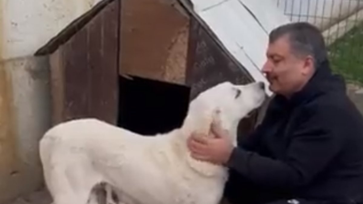 Fahrettin Koca'nın köpeğiyle olan videosu gündem oldu