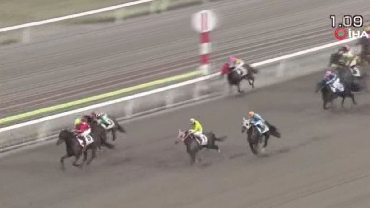 Japonya’daki yarış atının tekerleme gibi ismi, spikere zor anlar yaşattı