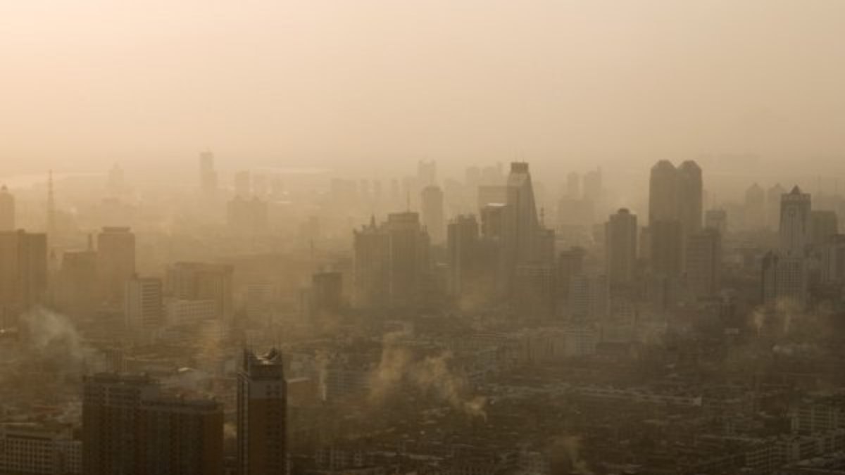 Smog nedir