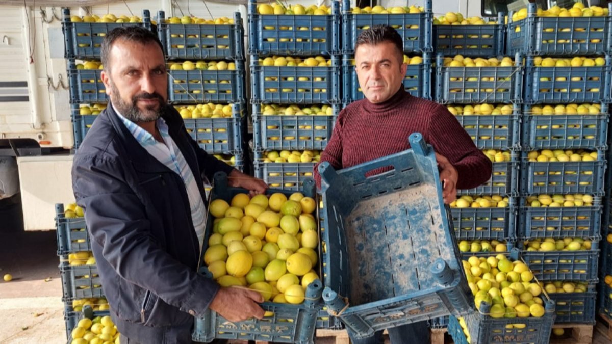 Adana'da plastik kasanın fiyatı, içindeki limonu geçti