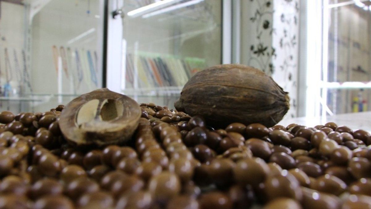 Eldeki mikropları öldürüyor: Kuka tesbihinin özellikleri