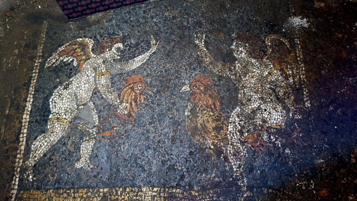 İzmir’de, bahçedeki kaçak kazıda yaklaşık 2700 yıllık mozaikler bulundu