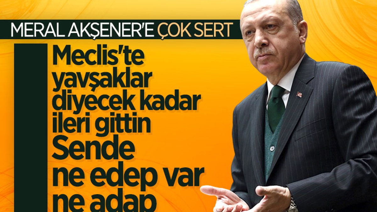 Cumhurbaşkanı Erdoğan'dan Akşener'e: Yavşaklar diyebilecek kadar seviyesiz