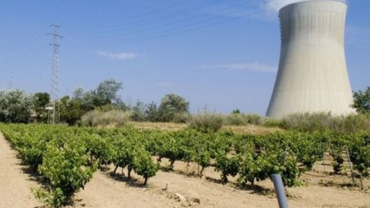 İspanya'da nükleer santralde gaz kaçağı: 1 ölü 3 yaralı