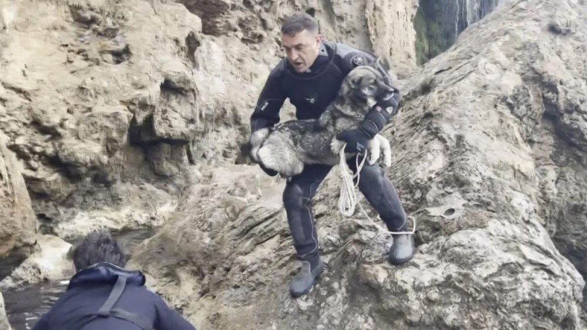 Antalya'da falezlerde mahsur kalan köpeği deniz polisi kurtardı