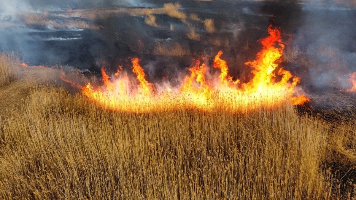 Eber Gölü'ndeki yangına müdahale edilemiyor