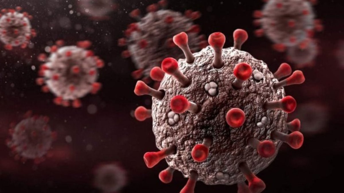 Bugünkü koronavirüs vaka tablosu açıklandı mı? 29 Kasım 2021 vaka ve ölüm sayısı