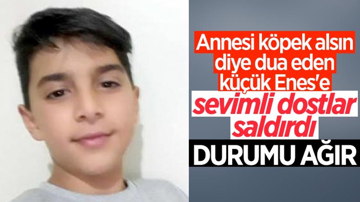 Ankara'da küçük Enes, köpek saldırısında ağır yaralandı