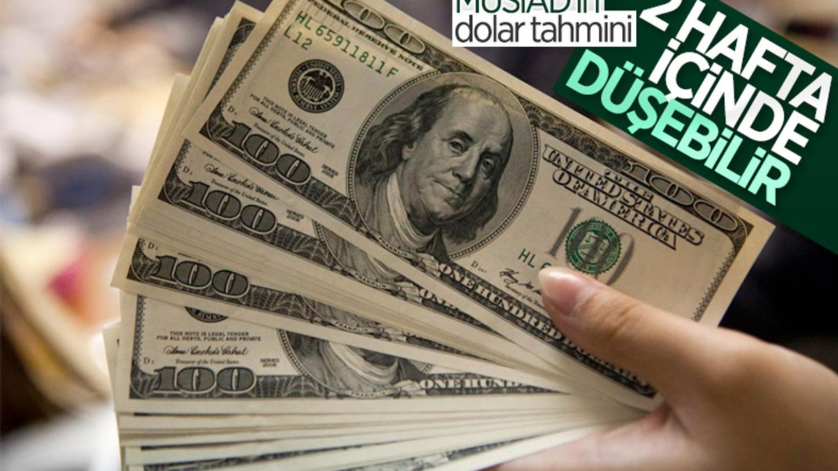 MÜSİAD'dan yıl sonu için dolar tahmini