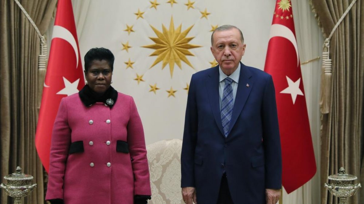 Güney Afrika Büyükelçisi'nden Cumhurbaşkanı Erdoğan'a güven mektubu
