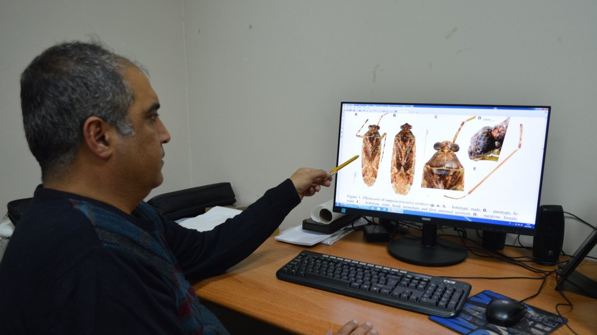 Mardin'de yeni keşfedilen böceğe, eski bakan Şevket İyriboz'un adı verildi