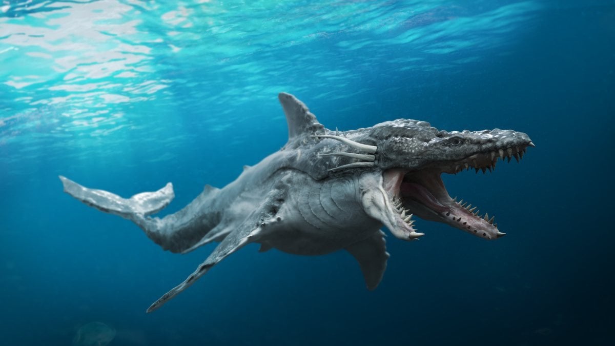 Bilim insanları, balinaları yutan dev bir canavar keşfetti