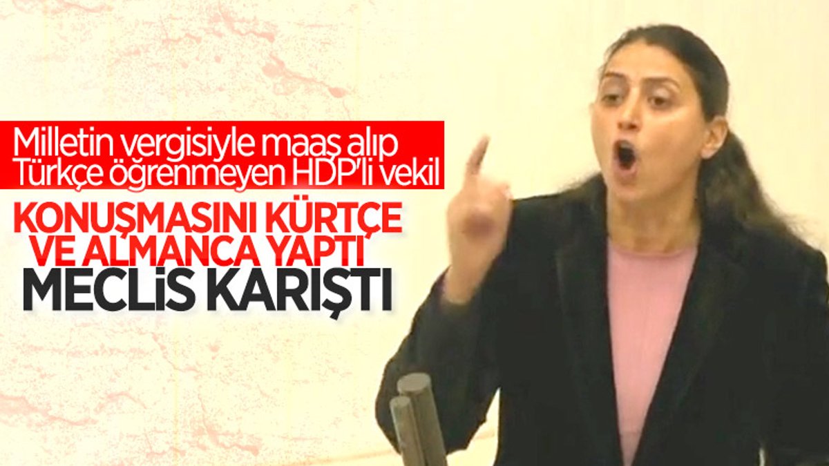 HDP'li Feleknas Uca TBMM kürsüsünde Almanca ve Kürtçe konuştu