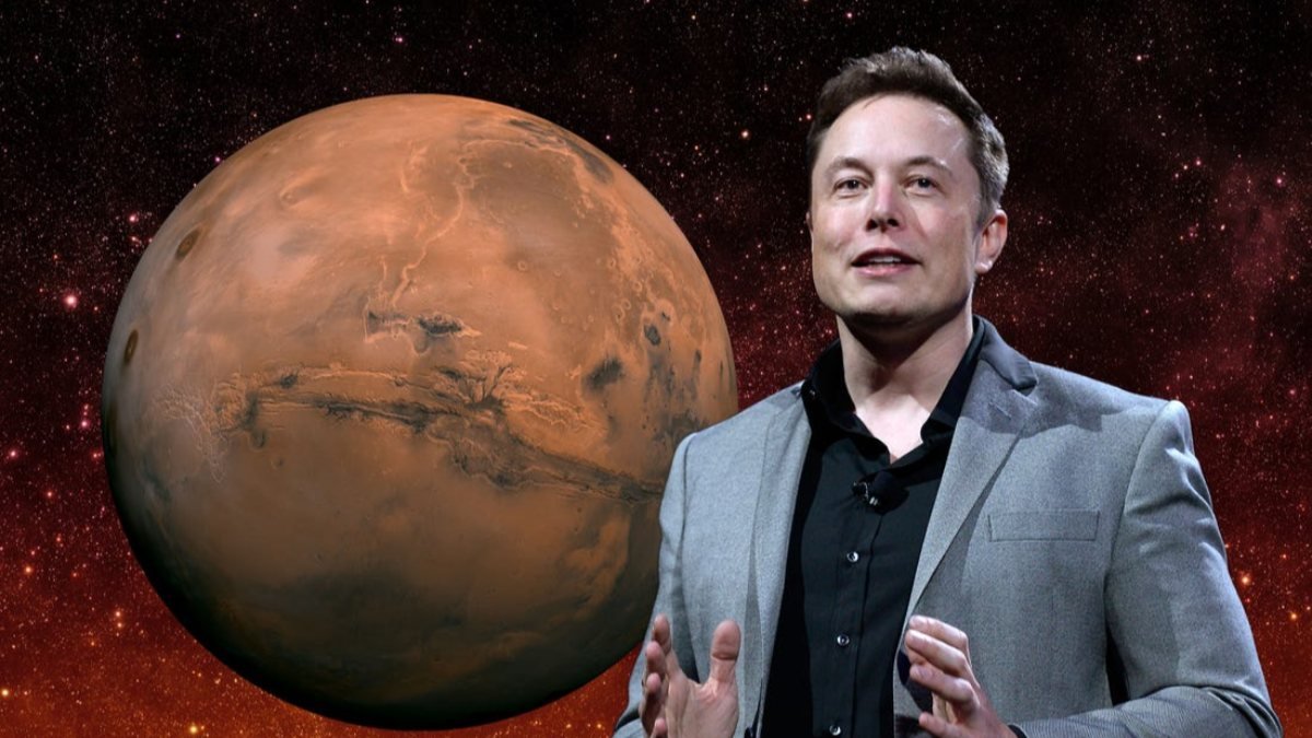 Elon Musk'ın Nuh'un Gemisi planı tepki çekti