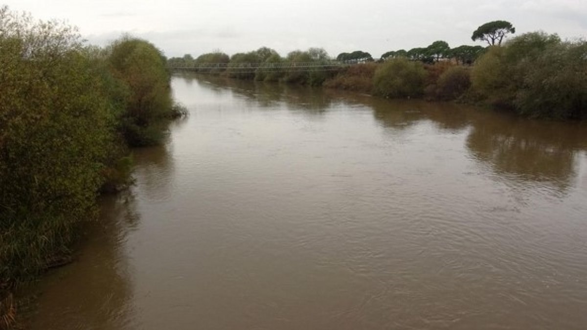 Aydın'da kurumaya yüz tutan Büyük Menderes Nehri, yağışlar ile canlandı