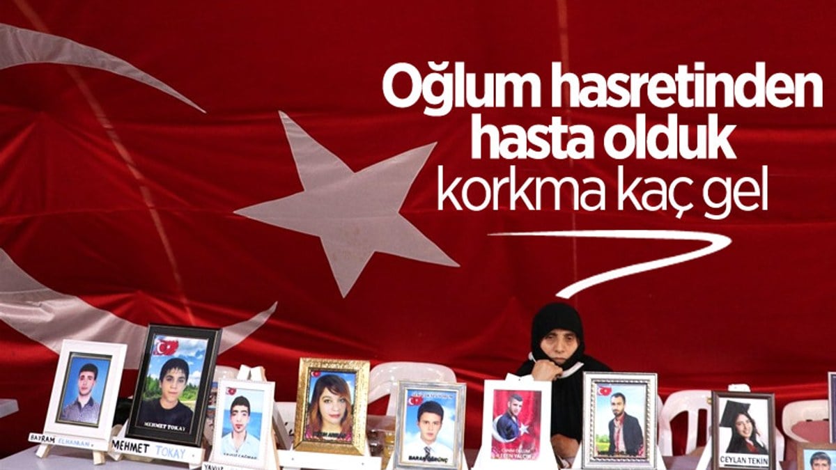 Diyarbakır annesi Gökkuş: Oğlumu HDP kaçırdı, PKK'ya verdi