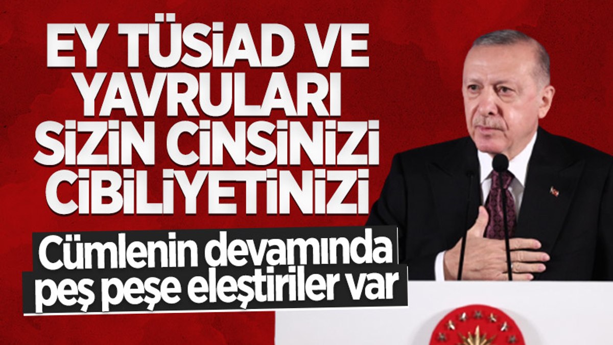 Cumhurbaşkanı Erdoğandan TÜSİADa sert tepki