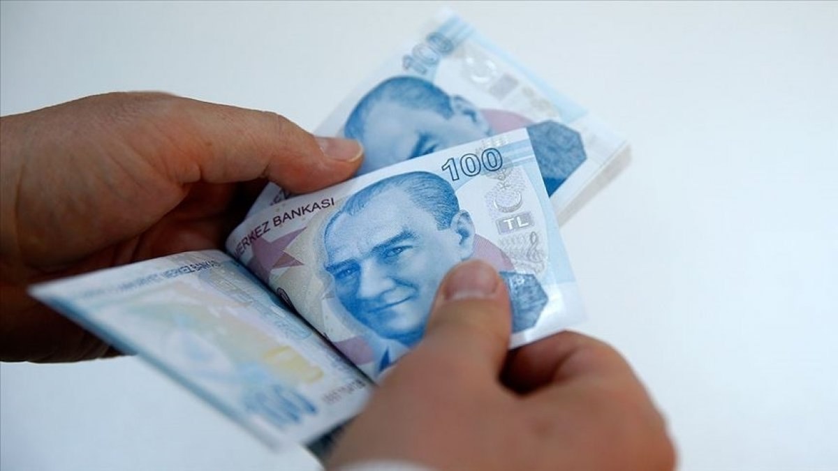 Aralıkta 106 milyon lira destek ödemesi yapılacak