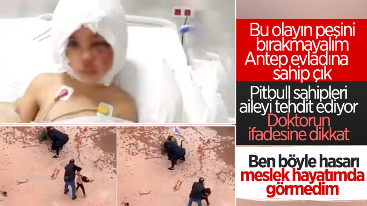 Gaziantepte pitbullun ısırdığı Asiyenin doktoru, bilgilendirme yaptı