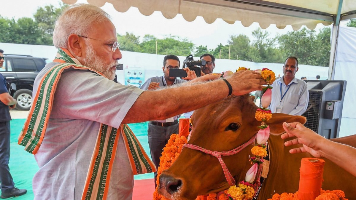 Narendra Modi: İnek, bizim için annedir