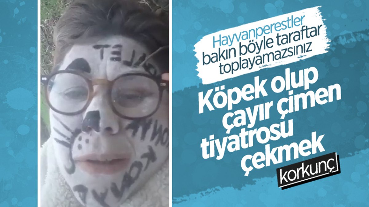 Konyalı kadından sokak köpeklerine ilginç destek