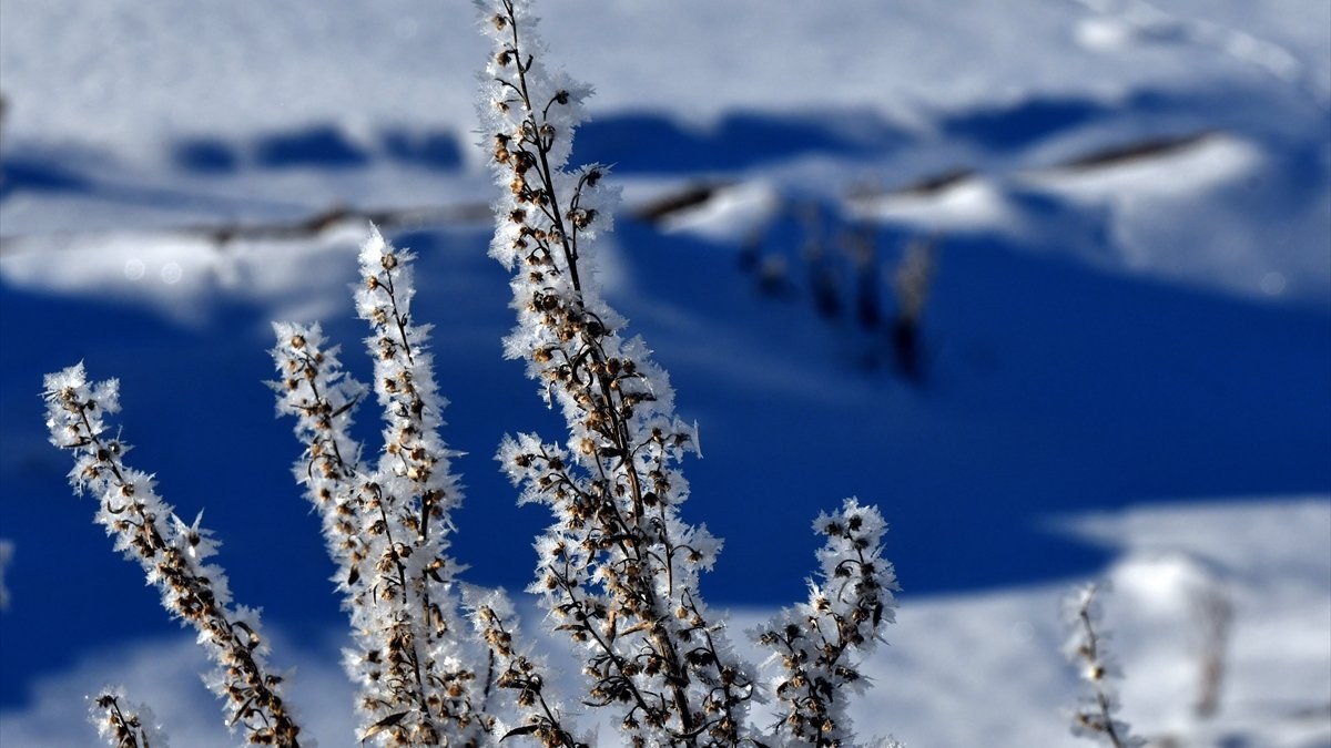 Erzurum, Kars ve Tunceli'de kar yağışı etkili