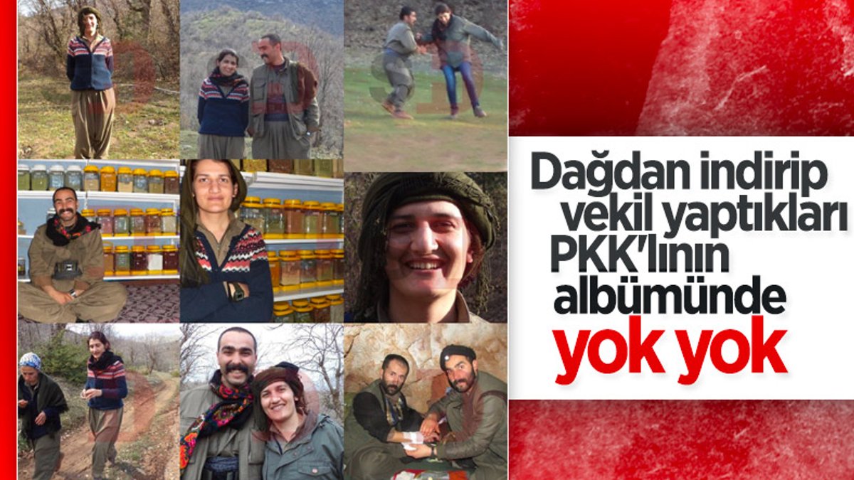 HDP'li Semra Güzel'in PKK'lı teröristlerle çekilen yeni fotoğrafları