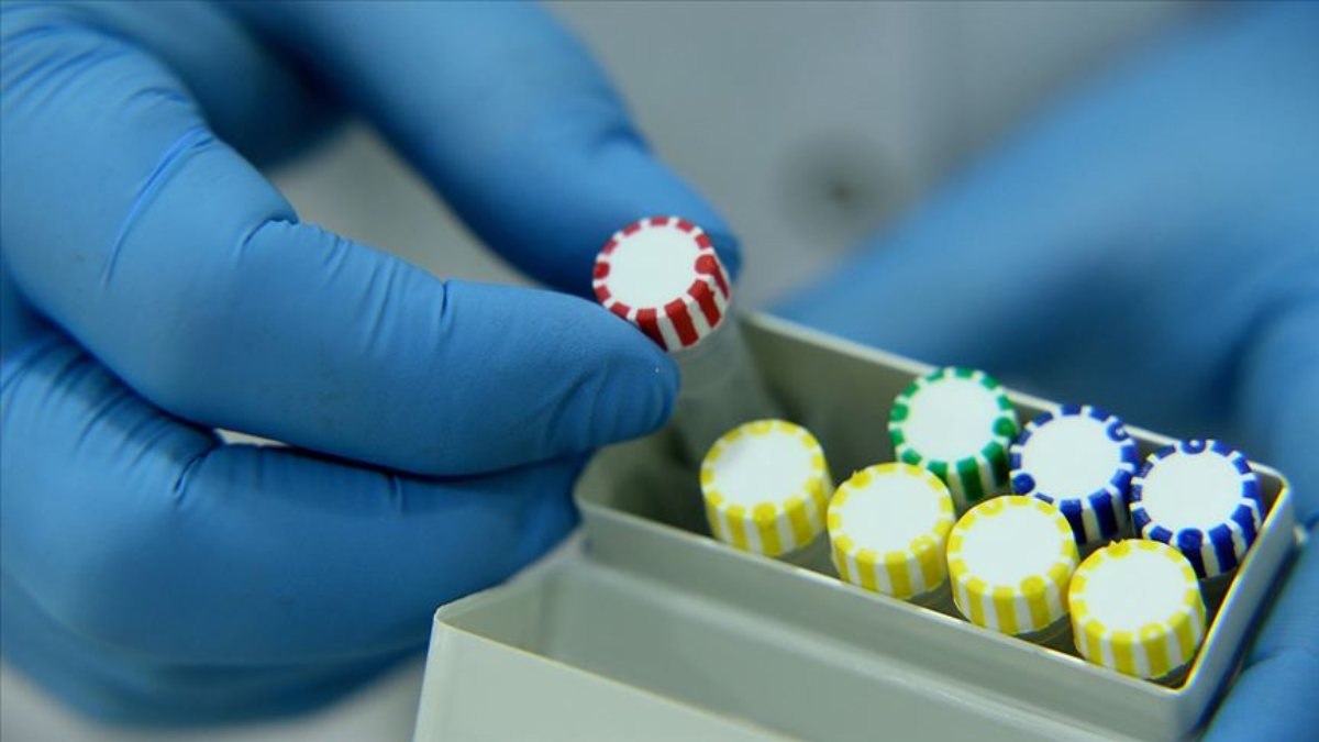 Almanya'da en çok kullanılan 5 tanı kitinden 2'sinin üretimi Türkiye'de