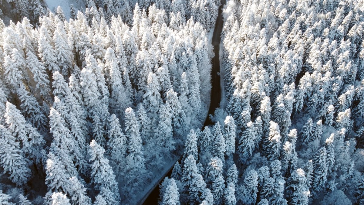 Bolu'da ormanlar karla kaplandı