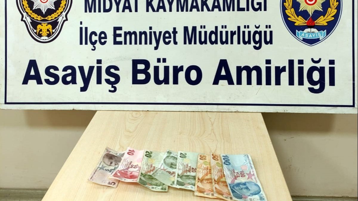 Mardin'de hırsızlık operasyonu: 28 gözaltı