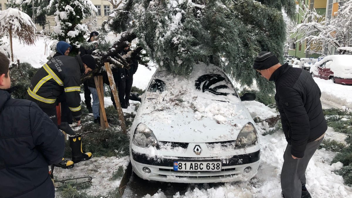 Düzce'de kar yağışına dayanamayan ağaç, aracın üzerine devrildi