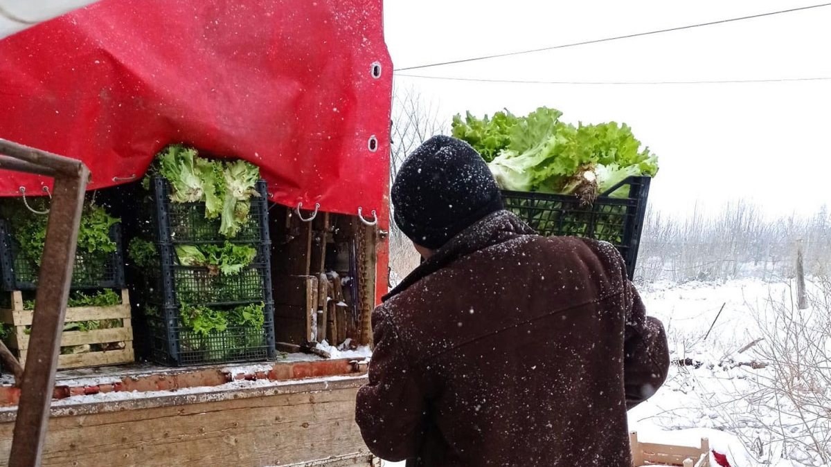 Eskişehirli çiftçiler kar yağışından memnun