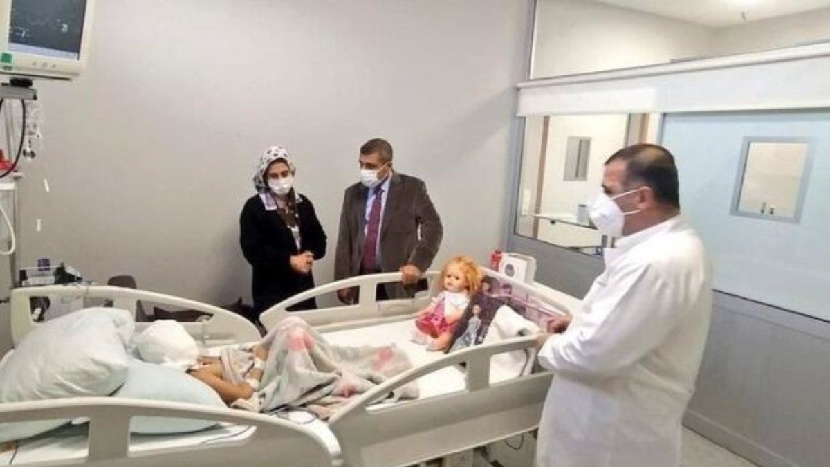 Asiye’ye saldıran köpekler iddianamede silah olarak sayıldı