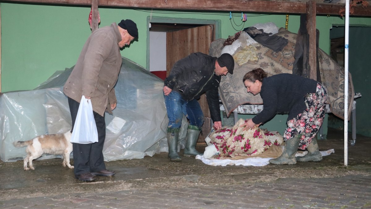 Edirne'de selden köpek havlamasıyla kurtuldular