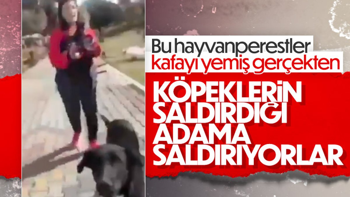 İzmir'de hayvanseverler, köpeklerin saldırdığı adama saldırdı
