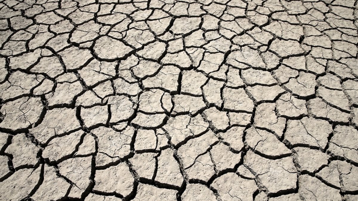 ABD'nin batısında 1200 yılın en büyük kuraklığı yaşanıyor
