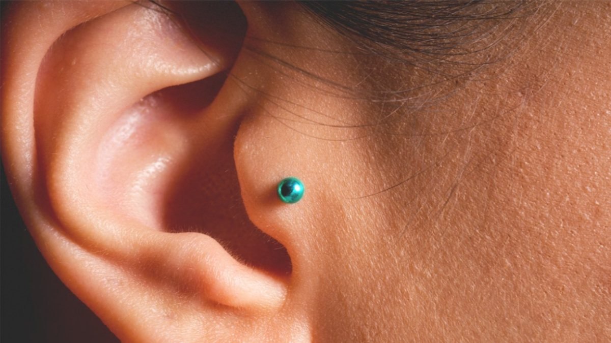 Tragus nedir