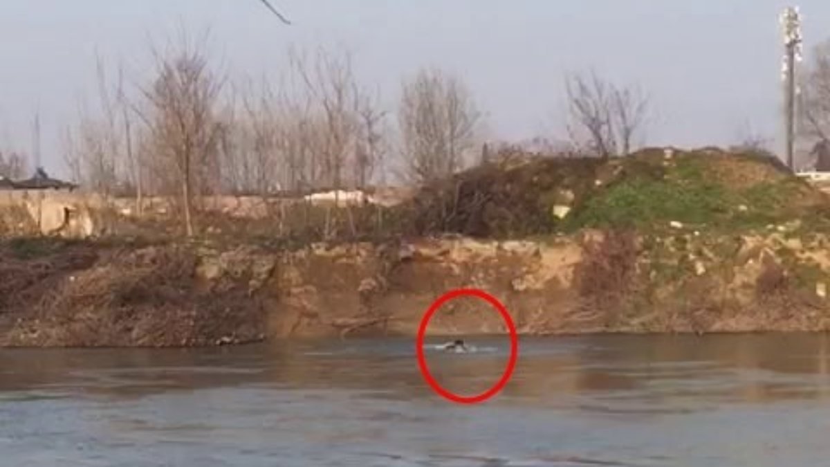 Sakarya'da kaçarken nehre atlayan şahıs, bulunamadı