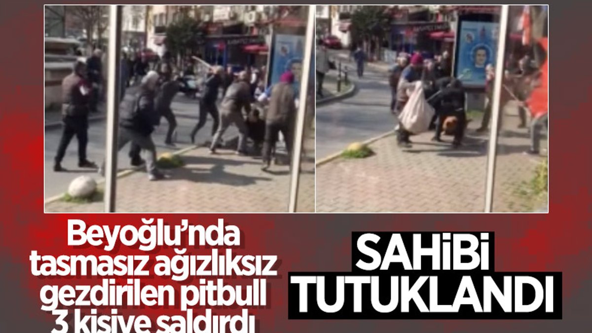 Beyoğlu'nda 3 kişiyi yaralayan pitbullun sahibine tutuklama kararı