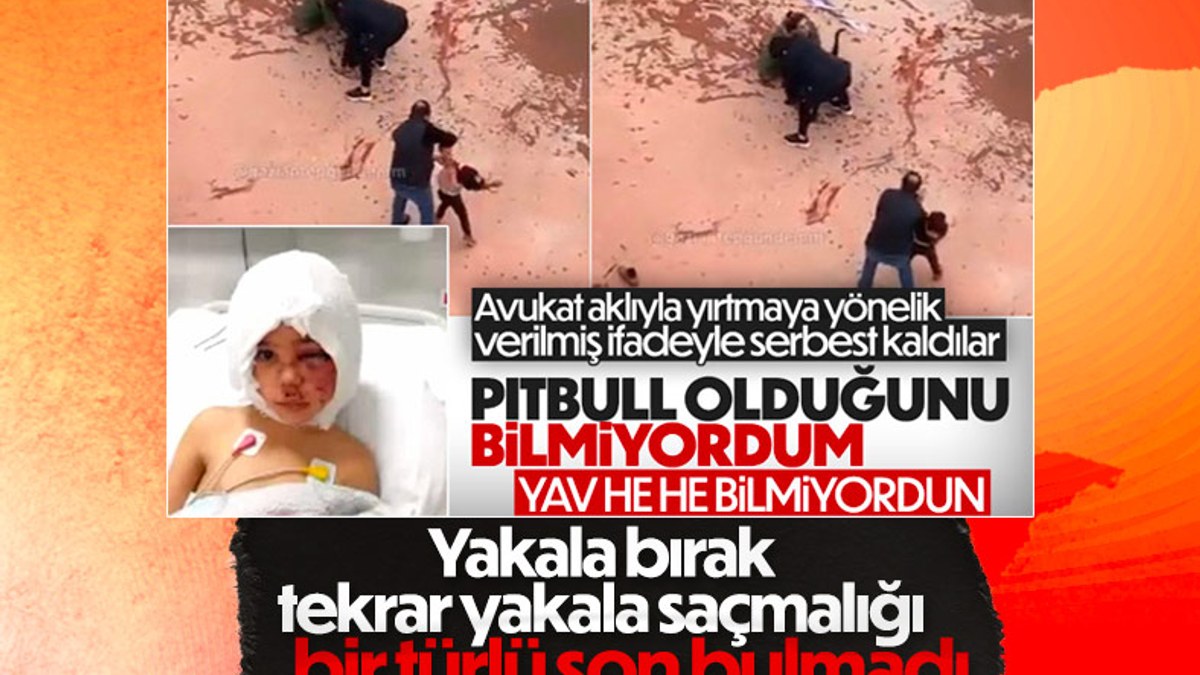 Gaziantep'te iki pitbullun çocuğa saldırısıyla ilgili yeniden tutuklama kararı